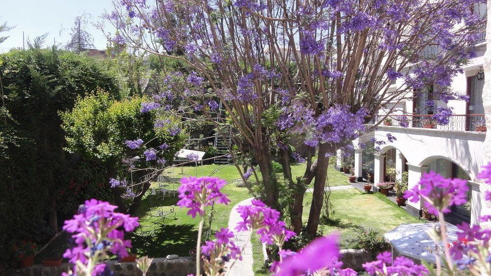 Hotel Boutique Villa Elisa Arequipa Eksteriør bilde