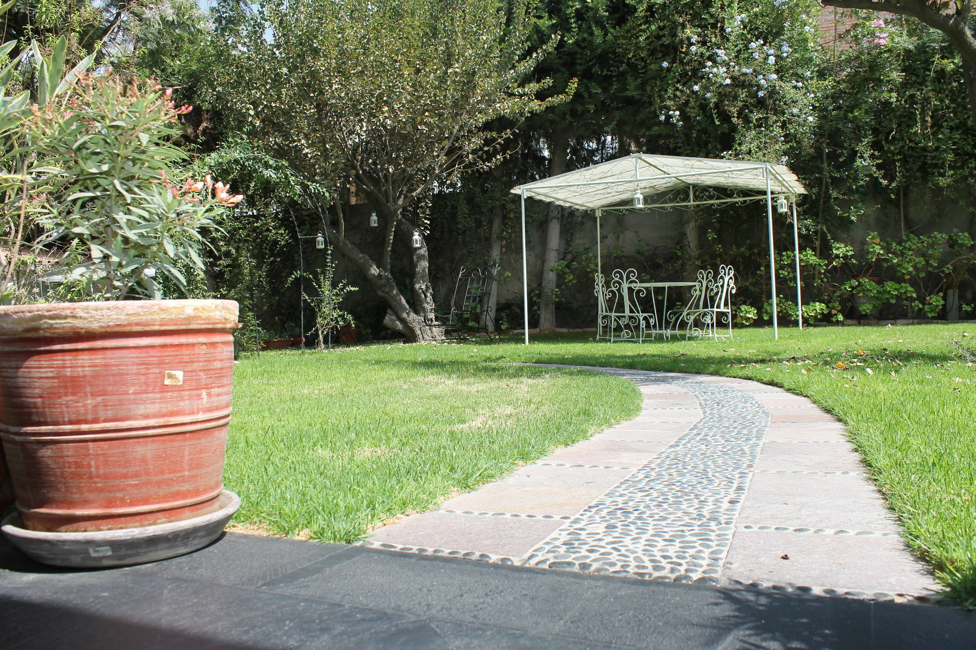 Hotel Boutique Villa Elisa Arequipa Eksteriør bilde